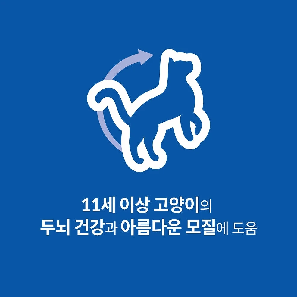 힐스 고양이사료 어덜트 11+ 1.6kg 상세 이미지 2