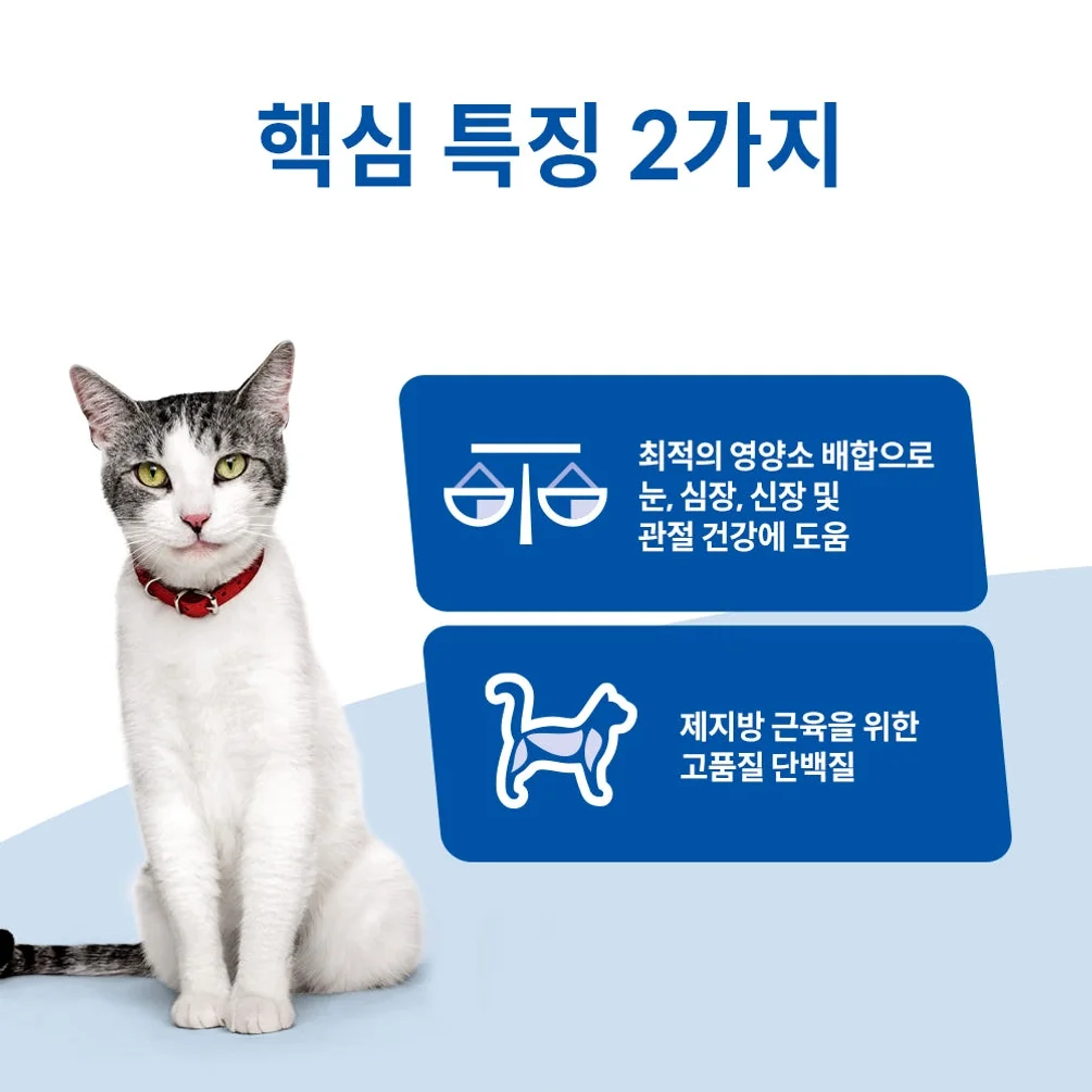 힐스 고양이사료 어덜트 11+ 1.6kg 상세 이미지 4