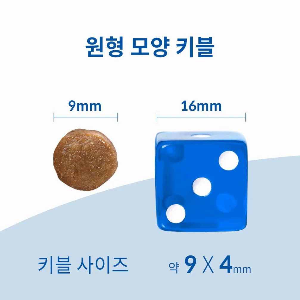 힐스 고양이사료 어덜트 퍼펙트 다이제스천 치킨 1.6kg 상세 이미지 2
