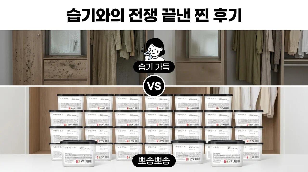 생활공작소 대용량제습제 24개, 습기와의 전쟁 끝낸 찐 후기
