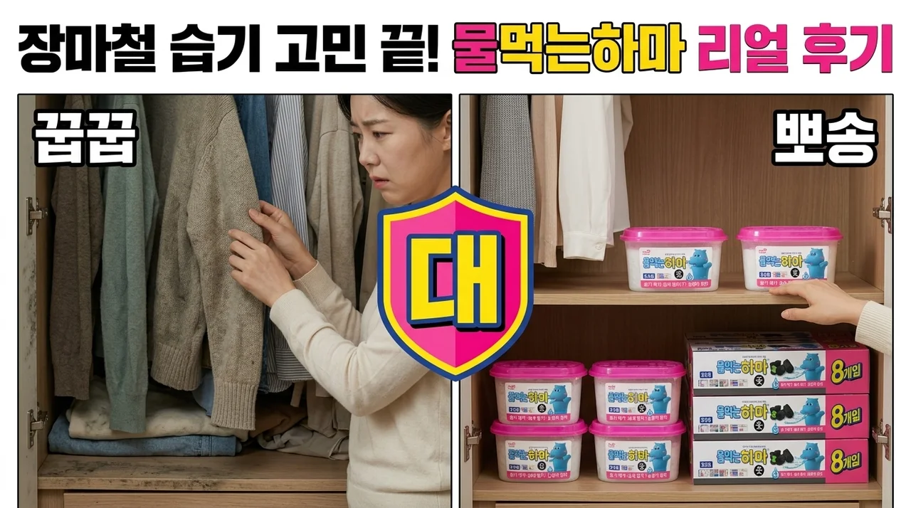 물먹는하마 참숯 제습제, 장마철 습기 걱정 끝내는 솔직 후기