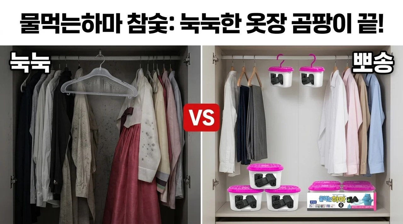 물먹는하마 참숯 제습제, 눅눅한 옷장 곰팡이 걱정 끝!