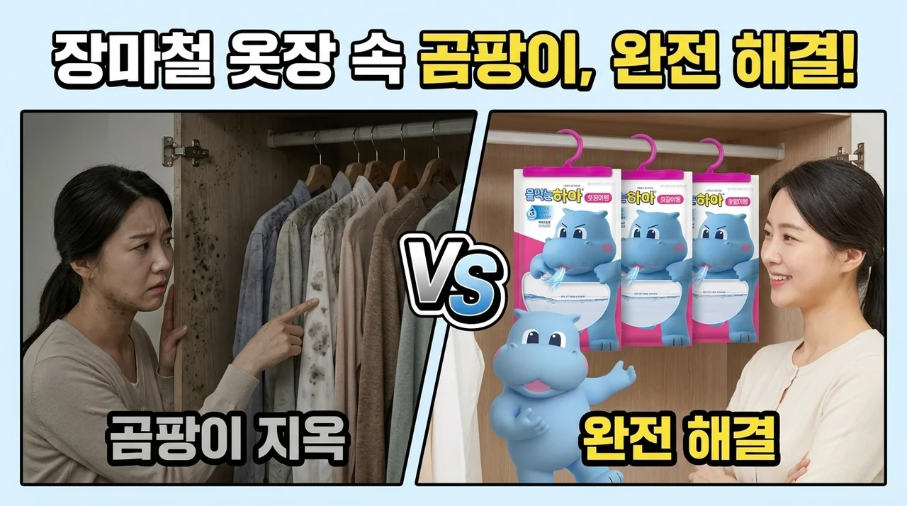 물먹는하마 걸이형으로 장마철 옷장 곰팡이 걱정 끝내기