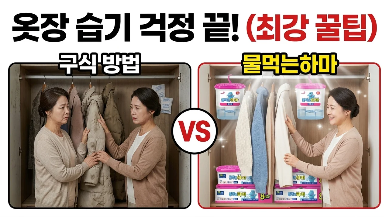 물먹는하마 옷장용 제습제, 눅눅한 옷장 고민 끝내는 꿀팁