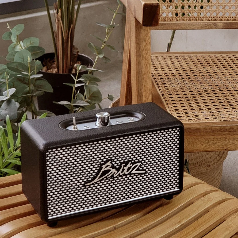 브리츠 30W 레트로 블루투스 스피커 TWS BZ-RK101 블랙 상세 이미지 3
