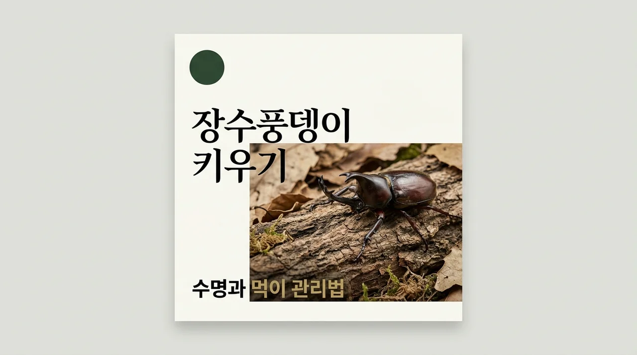 장수풍뎅이 키우기 수명 먹이 애벌레 성충 필수 관리법 총정리