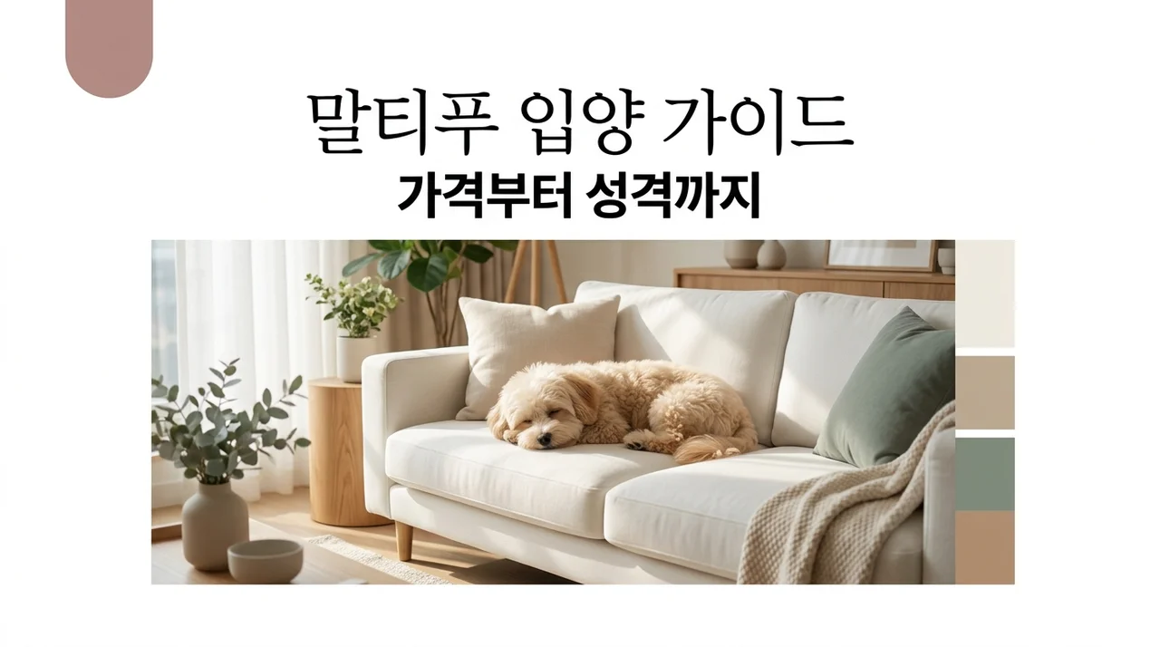 말티푸 입양 가격과 분양 전 필수 체크할 성격·수명 총정리