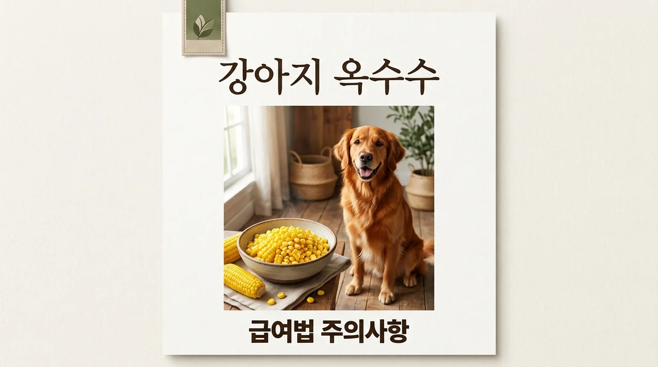 강아지 옥수수 먹어도 될까? 급여 시 치명적 위험 요소와 올바른 급여법 4가지