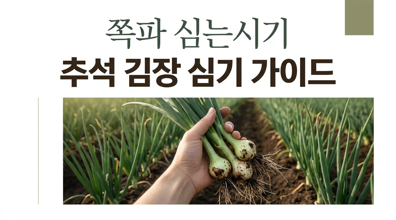 쪽파심는시기 총정리! 추석 vs 김장 쪽파 심는 날짜와 파종 노하우