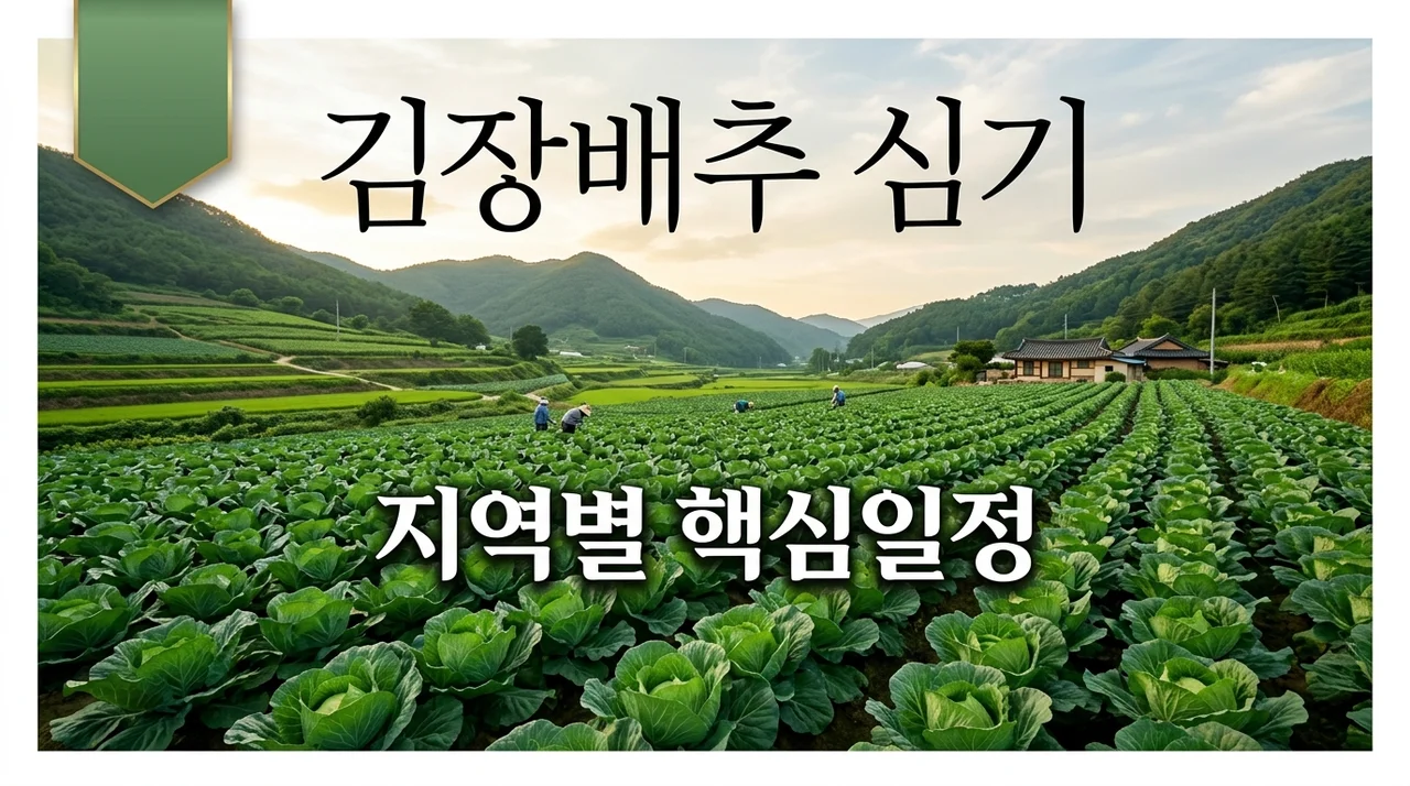 김장배추심는시기 중부 남부 지역별 파종 모종 심는 날짜 총정리
