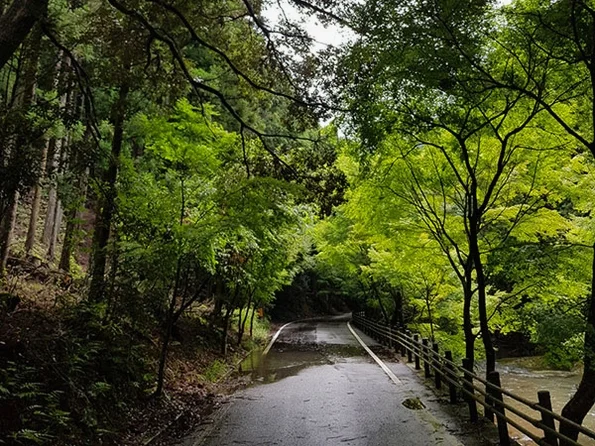대마도2일/부산출발/힐링여행/노바호/가볍게 떠나는 힐링의섬 대마도 1박2일/소아루리조트 숙박/온천/ BBQ/히타카츠 왕복 DAY 2 여행 사진