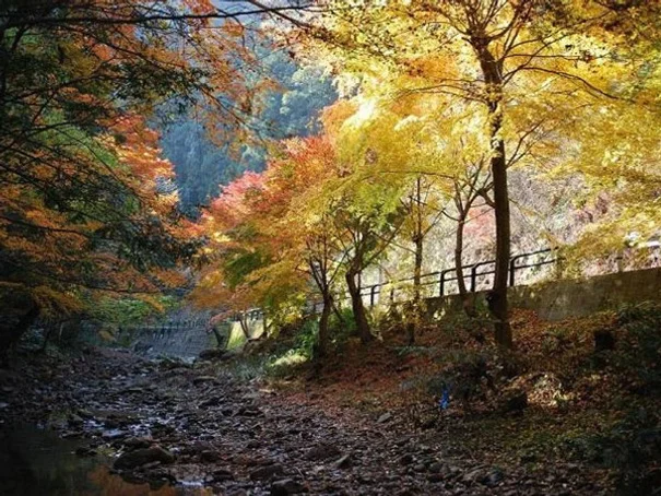 대마도2일/부산출발/힐링여행/노바호/가볍게 떠나는 힐링의섬 대마도 1박2일/소아루리조트 숙박/온천/ BBQ/히타카츠 왕복 여행 사진