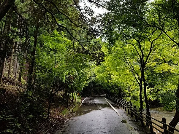 대마도2일/부산출발/4인출확 연합/노바호/부산에서 가장가까운 일본 대마도 1박2일/이즈하라 숙박/히타카츠 왕복 DAY 2 여행 사진