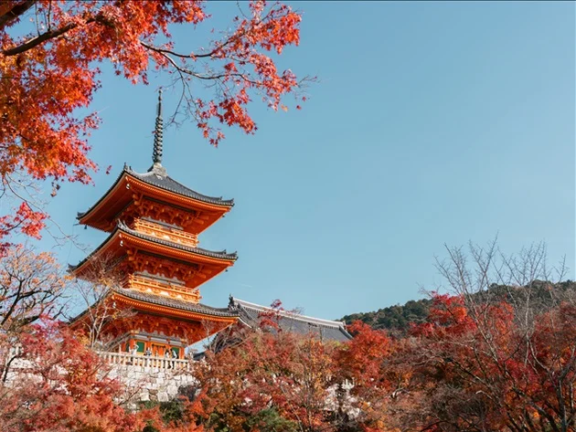 [슈퍼위크][하루는내맘대로] 오사카/교토/나라 3일 (1일자유/3대특식/USJ선택가능) 여행 사진