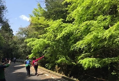 부산출발 대마도 2일 1명부터출발확정 이즈하라 도요코인 온천욕 BBQ특식 이즈하라 DAY 2 여행 사진