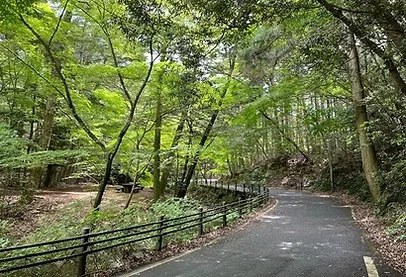 부산출발 대마도 2일 1명부터출발확정 이즈하라 도요코인 온천욕 BBQ특식 이즈하라 DAY 2 여행 사진