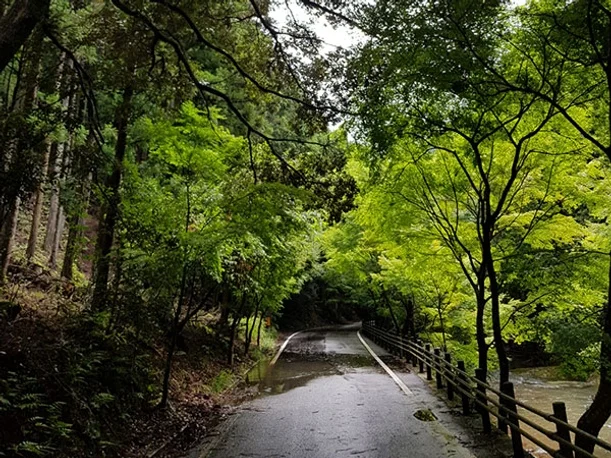 대마도2일/부산출발/힐링여행/노바호/가볍게 떠나는 힐링의섬 대마도 1박2일/소아루리조트 숙박/온천/ BBQ/히타카츠 왕복 DAY 2 여행 사진
