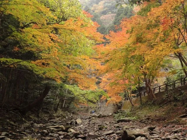 대마도2일/부산출발/4인출확 연합/노바호/부산에서 가장가까운 일본 대마도 1박2일/이즈하라 숙박/히타카츠 왕복 여행 사진