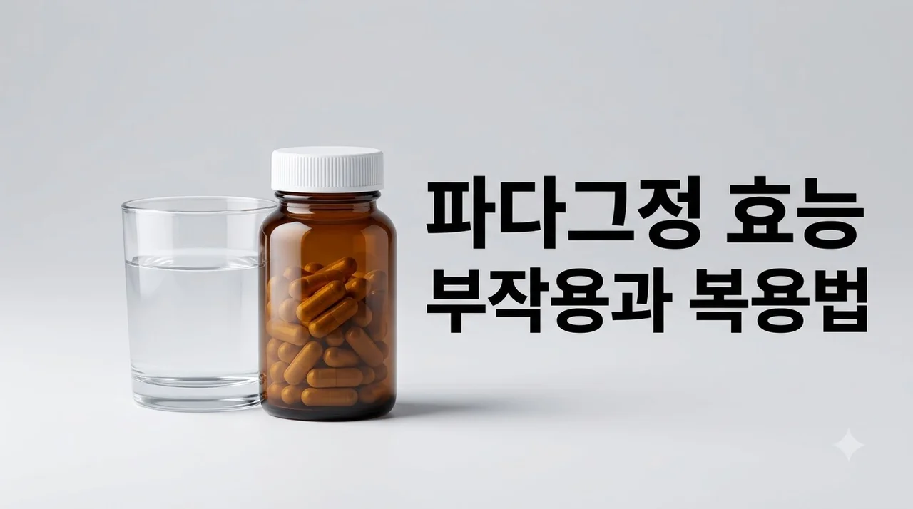 파다그정 효능 부작용 알아보기! 다이어트 효과와 올바른 복용법 총정리
