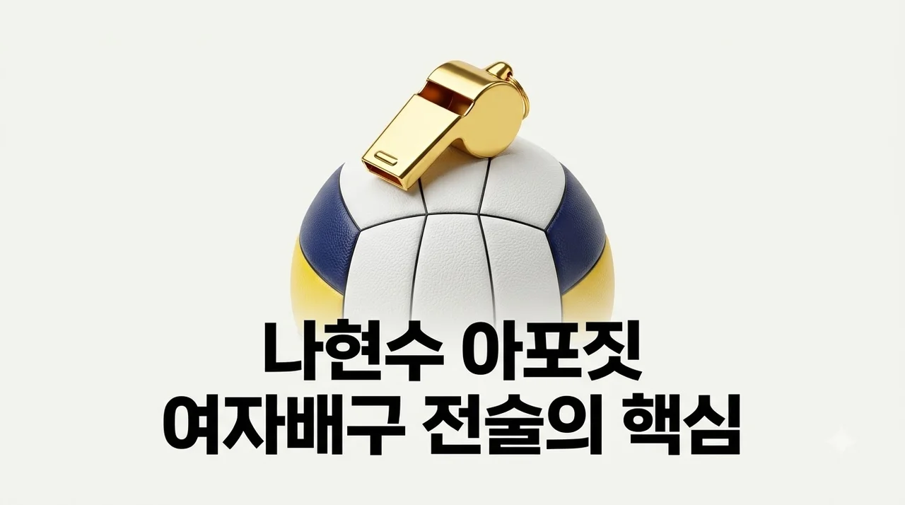 여자배구 나현수 아포짓 역할 중요성 분석! 현대건설 전술 변화 핵심