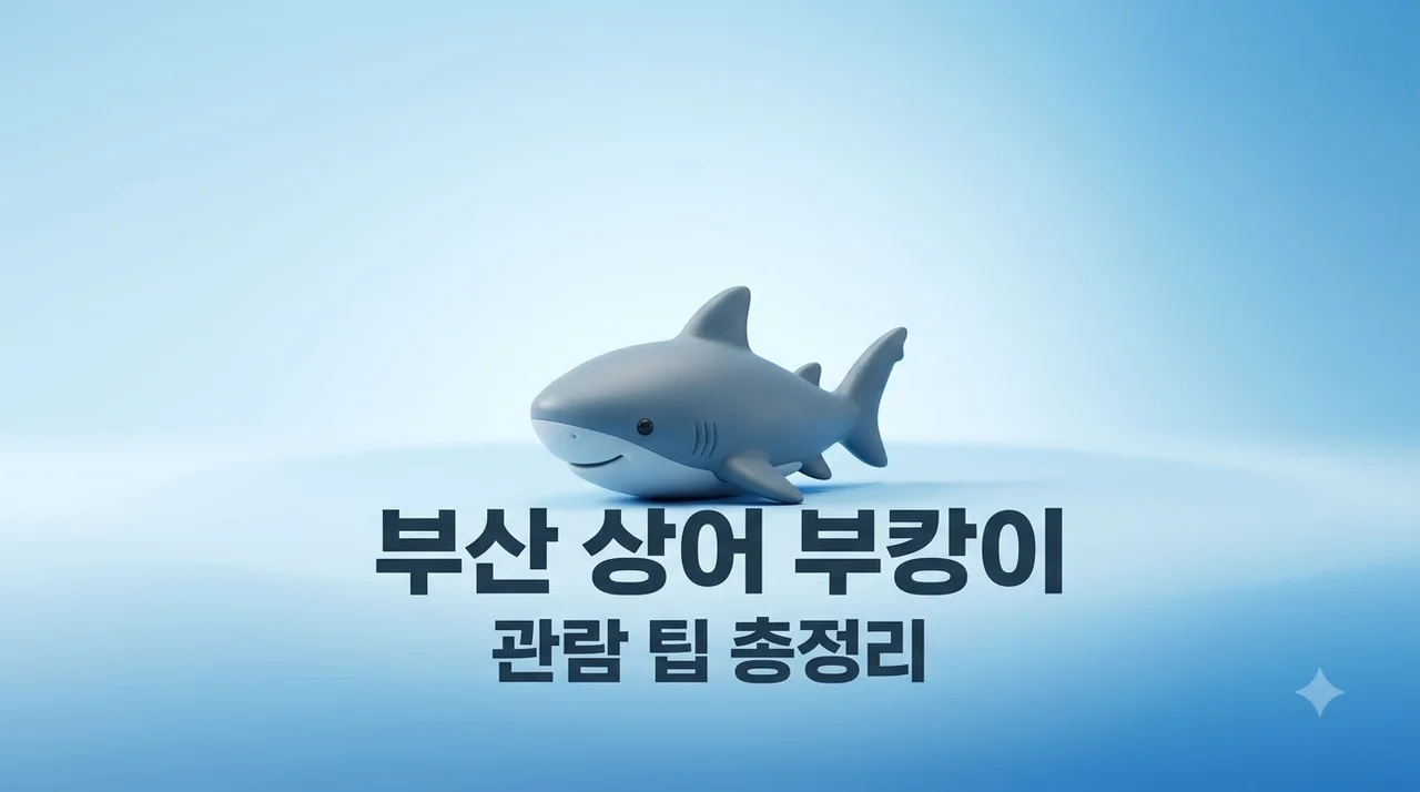 부산 상어 부캉이 출몰 위치 및 관람 팁 완벽 정리 (무태상어 정체와 주의사항)