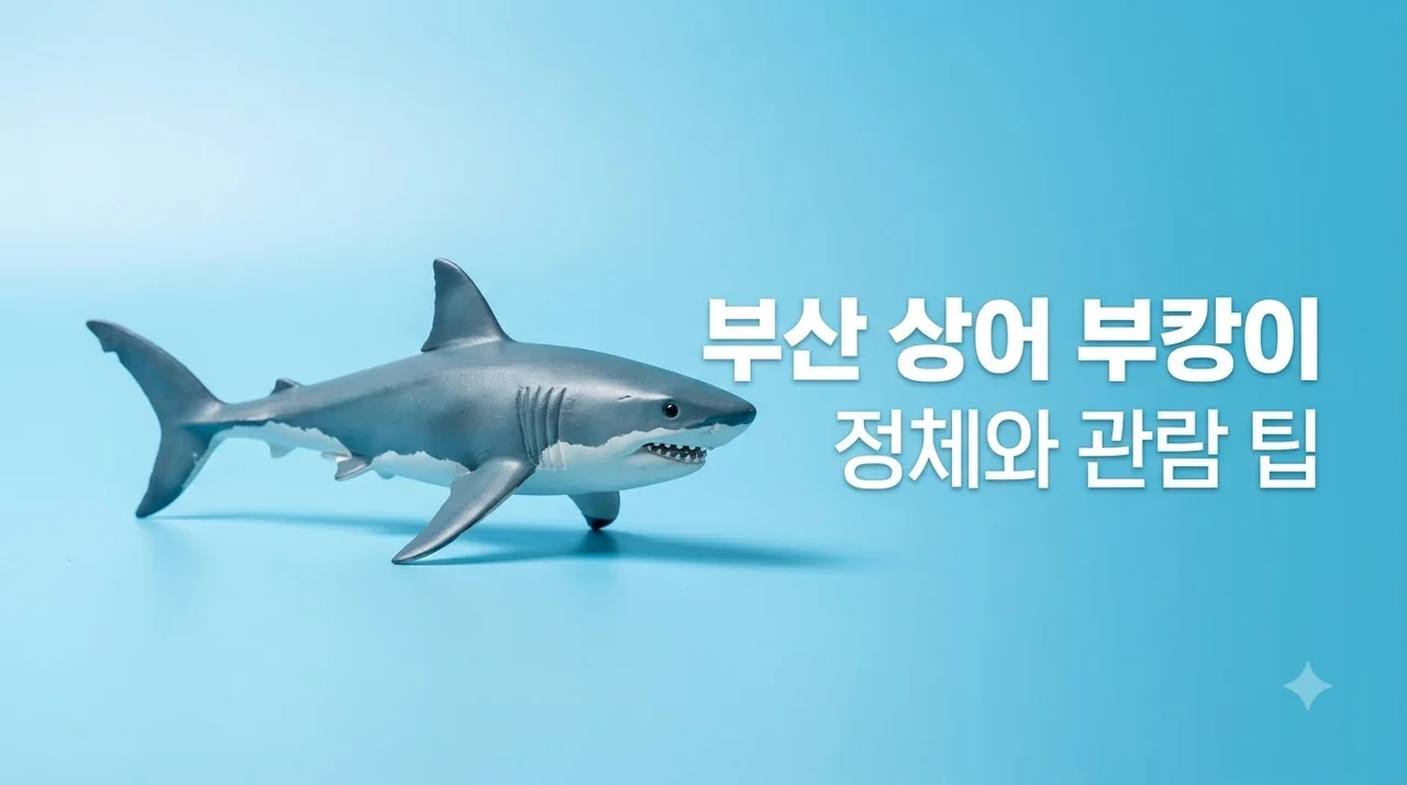 부산 상어 부캉이 정체와 출몰 위치 생닭 논란 완벽 정리