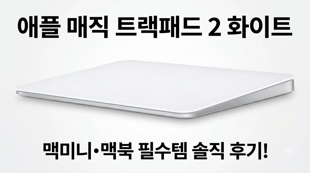 애플 매직 트랙패드 화이트 맥미니 맥북 필수템 솔직 후기