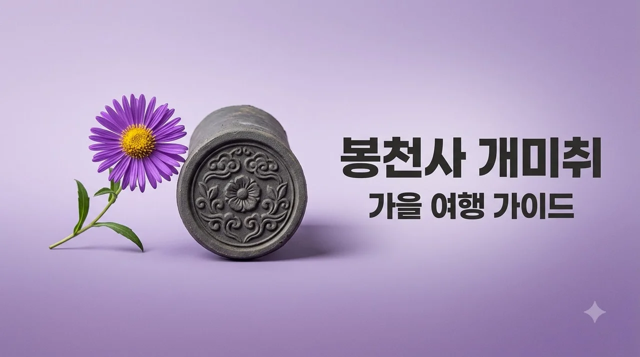 문경 봉천사 개미취 개화시기 완벽 정리 주차 입장료 포토존 팁