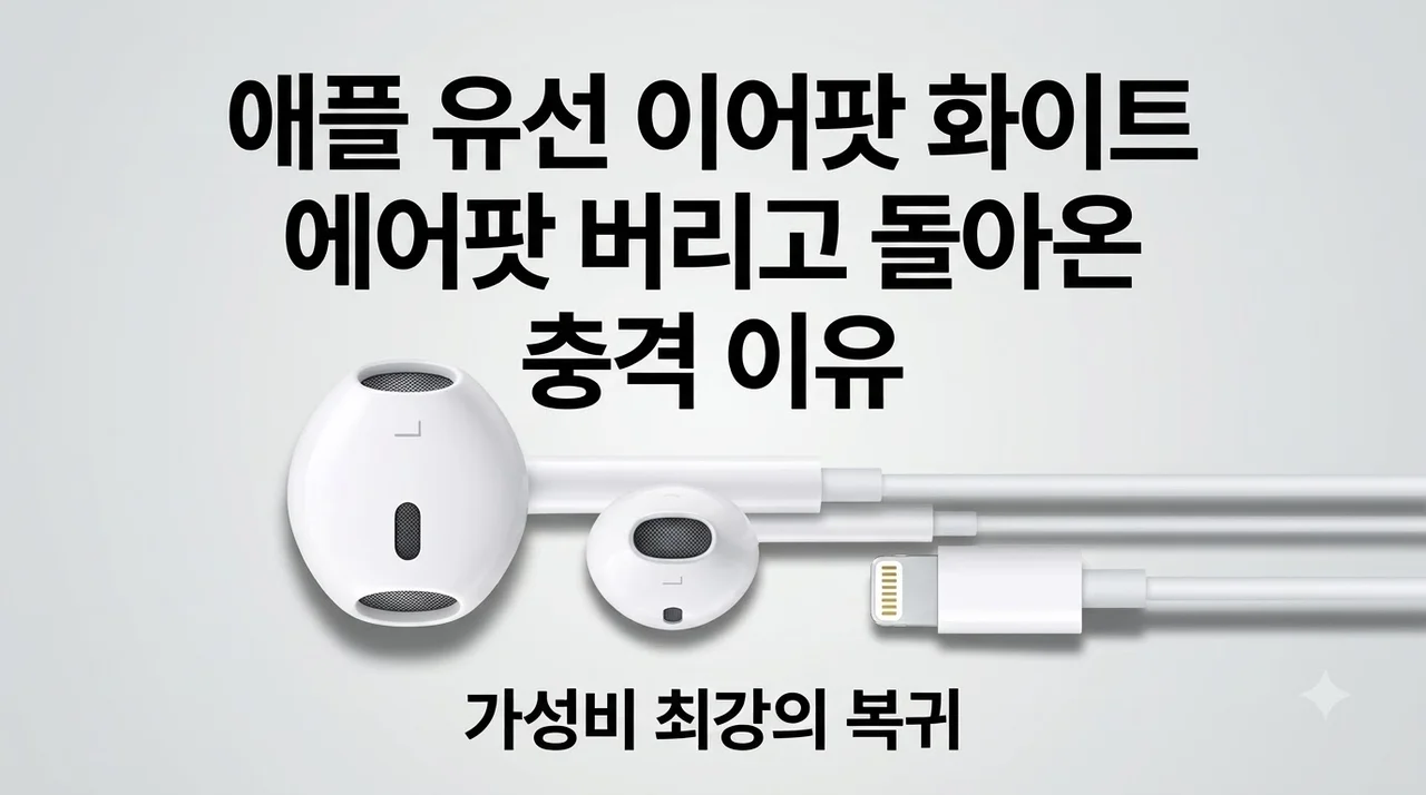 애플 이어팟 유선 이어폰 화이트 에어팟 버리고 돌아온 충격 이유