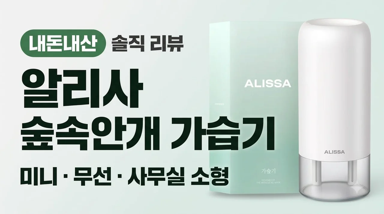 알리사 숲속안개 가습기 미니 사무실 무선 소형 내돈내산 솔직 리뷰