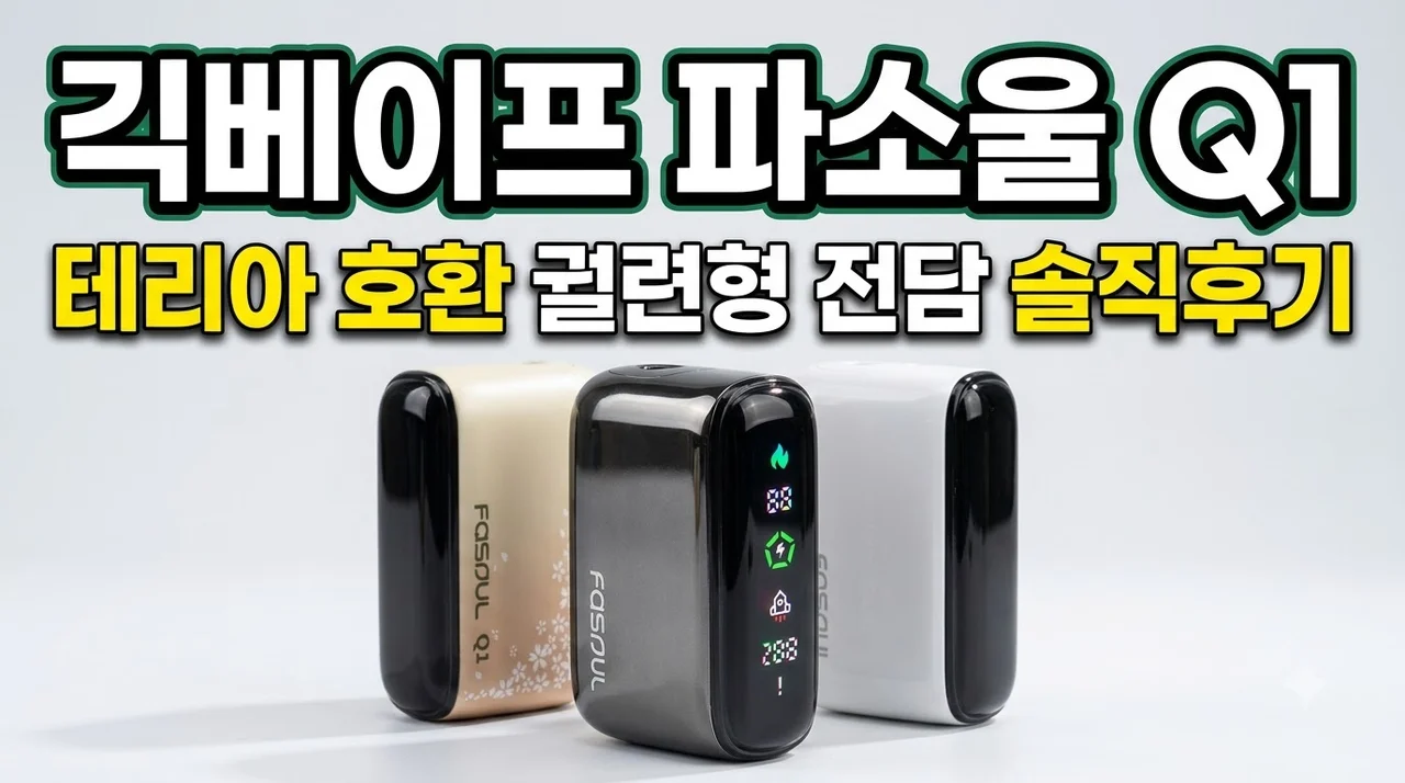 긱베이프 파소울 Q1 궐련형 전담 테리아 호환 기기 솔직후기