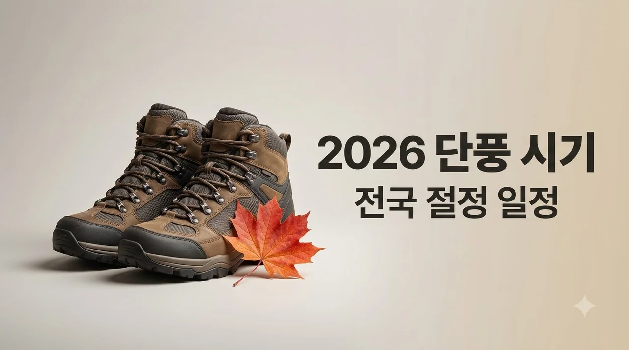2026 단풍 시기 전국 명산 절정 예상 일정 및 추천 명소 총정리